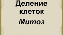 Деление клетки. Митоз