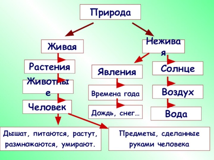 ПриродаЖиваяНеживаяРастенияЖивотныеЧеловекСолнцеВоздухВодаДышат, питаются, растут, размножаются, умирают. Явления Времена года Дождь, снег… Предметы, сделанные руками человека