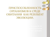 Презентация по биологии на тему Адаптации организмов как результат естественного отбора