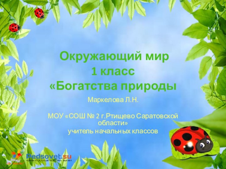 Окружающий мир  1 класс «Богатства природыМаркелова Л.Н.МОУ «СОШ № 2