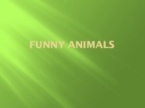 Презентация по английскому языку на тему Животные (3 класс)