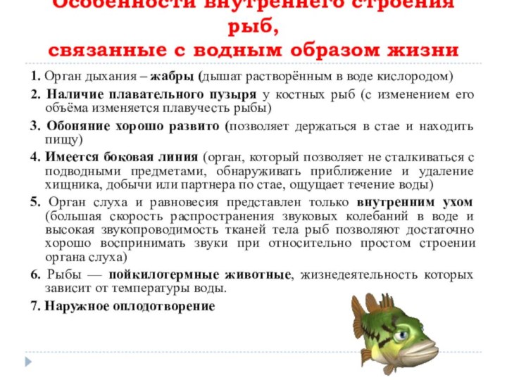 Особенности внутреннего строения рыб,  связанные с водным образом жизни1. Орган дыхания