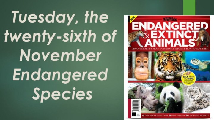 Tuesday, the twenty-sixth of November Endangered  Species