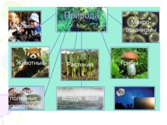 Презентация по окружающему миру Красная книга