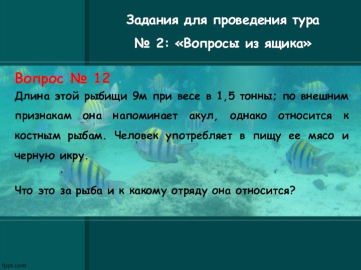 Задания для проведения тура № 2: «Вопросы из ящика»Вопрос № 12Длина этой