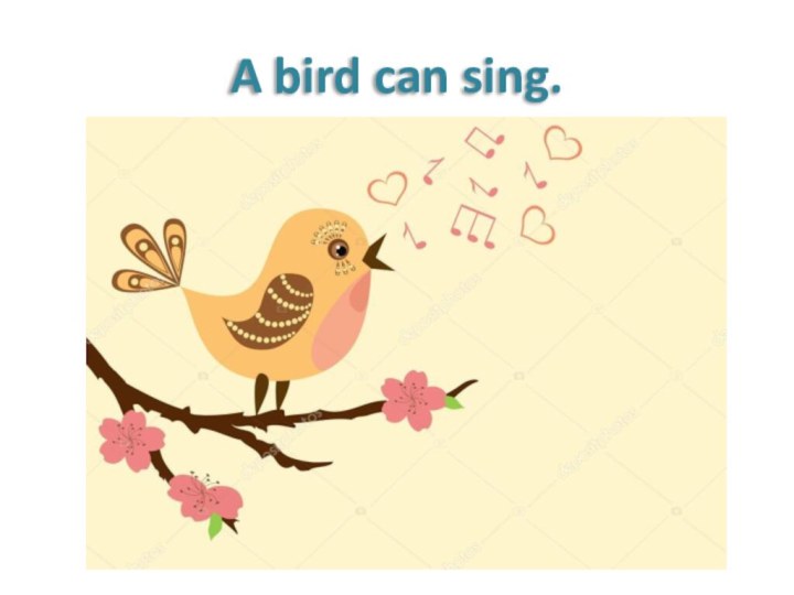 A bird can sing.