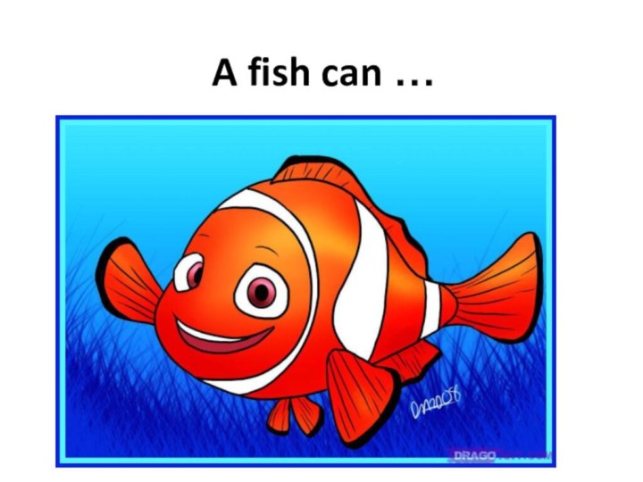 A fish can …