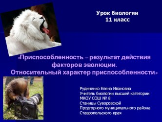 Презентация по биологии на тему Приспособленность – результат действия факторов эволюции (11 класс)