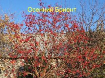 Осенний Бриентдля 1-11классов