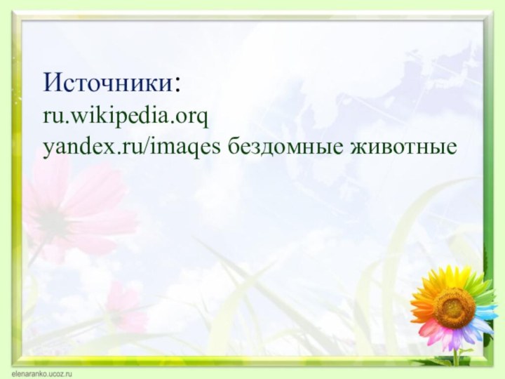 Источники: ru.wikipedia.orq yandex.ru/imaqes бездомные животные