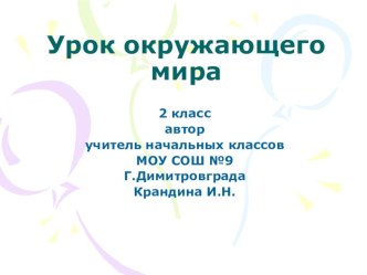 Презентация по окружающему миру  Все профессии важны, все профессии нужны