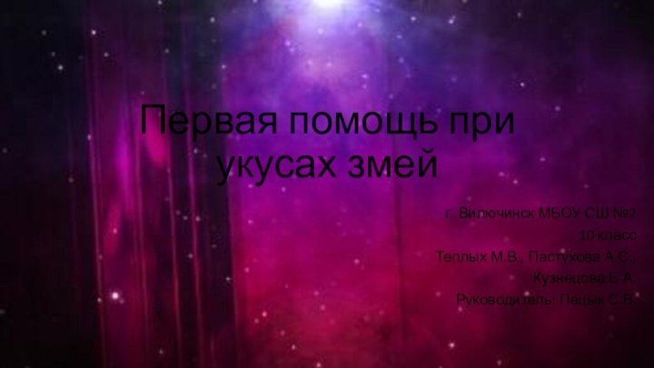 Первая помощь при укусах змейг. Вилючинск МБОУ СШ №2 10 классТеплых М.В.,