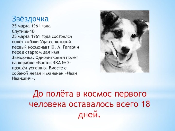 Звёздочка25 марта 1961 годаСпутник-10 25 марта 1961 года состоялся полёт собаки Удача,