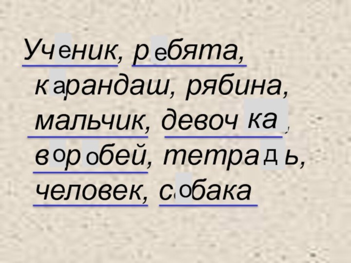 Учиник, рибята, корандаш, рябина, мальчик, девоч ка, варабей, тетрать, человек, сабакаееаьоодока