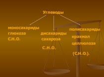 Презентация по химии на тему Полисахара
