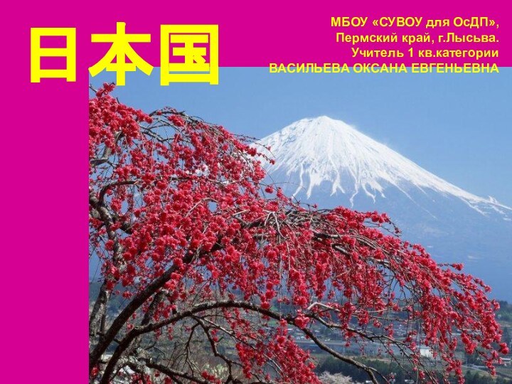 日本国МБОУ «СУВОУ для ОсДП»,