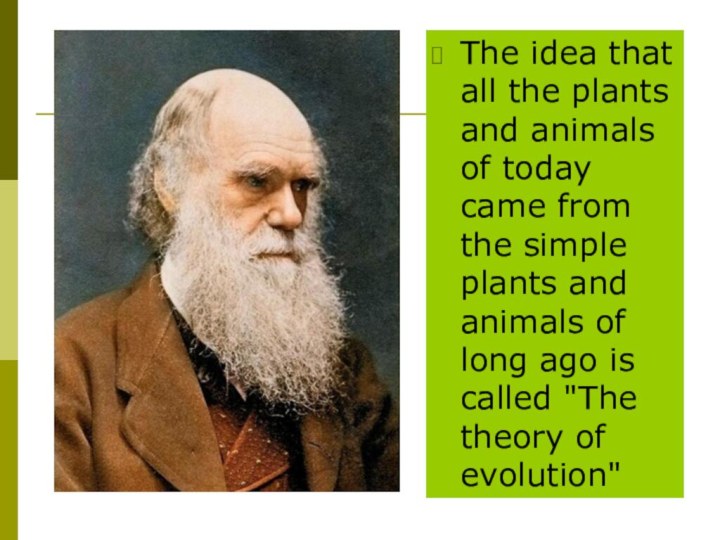 The idea that all the plants and animals of today came from