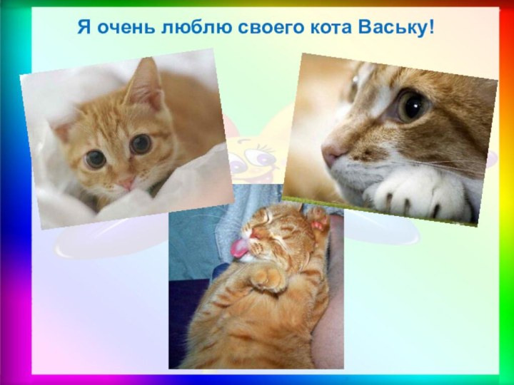 Я очень люблю своего кота Ваську!