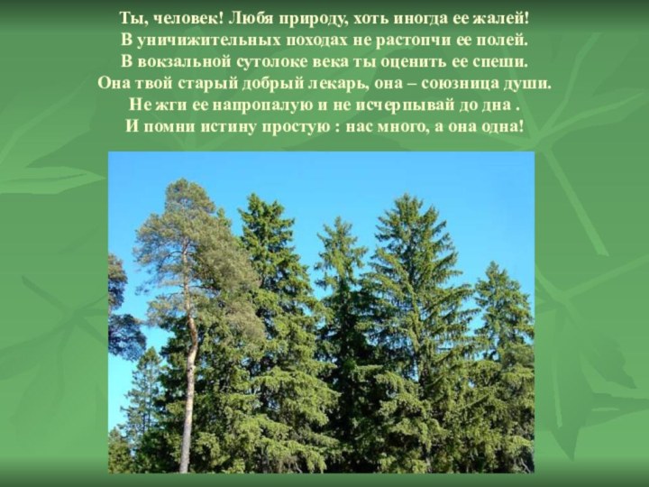 Ты, человек! Любя природу, хоть иногда ее жалей! В уничижительных походах