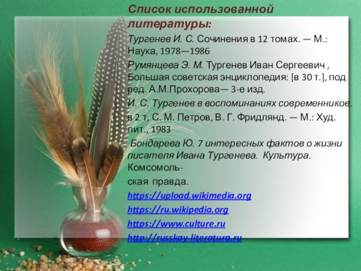 Список использованной литературы:Тургенев И. С. Сочинения в 12 томах. — М.: Наука, 1978—1986Румянцева Э. М. Тургенев Иван Сергеевич