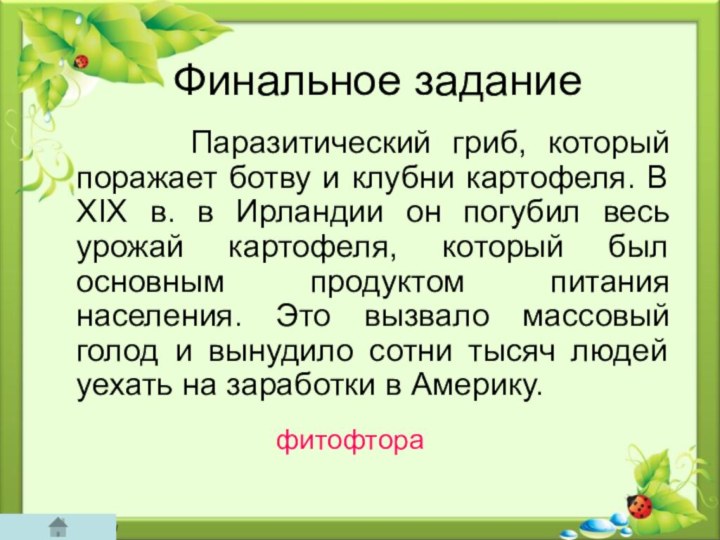 Финальное задание    Паразитический гриб, который поражает ботву и клубни