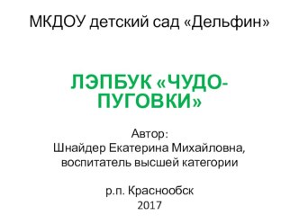 Презентация ЛЭПБУКа ЧУДО-ПУГОВКИ, вторая младшая группа