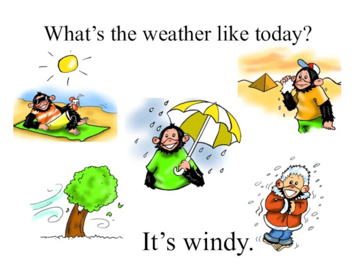 What’s the weather like today?It’s windy.