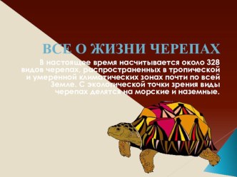 Классный час на тему черепахи