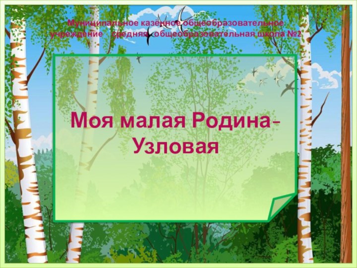 Моя малая Родина- УзловаяМуниципальное казённое общеобразовательное учреждение  средняя  общеобразовательная школа №2