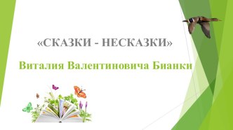 Сказки - несказки Бианки