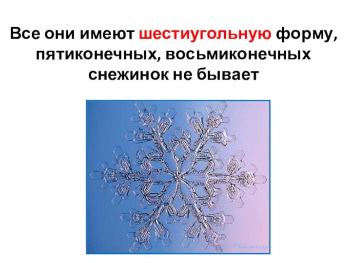 Все они имеют шестиугольную форму, пятиконечных, восьмиконечных снежинок не бывает