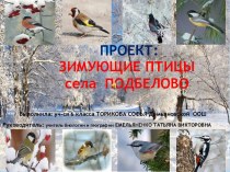 Проект Зимующие птицы села Подбелово