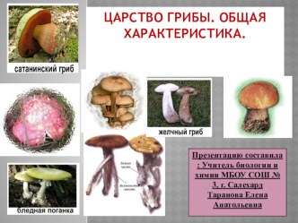 Презентация по биологии на тему Грибы