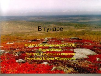 Презентация по окружающему миру на теме урока: Тундра