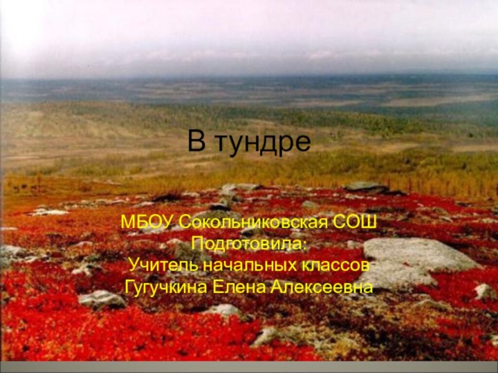 В тундреМБОУ Сокольниковская СОШПодготовила:Учитель начальных классовГугучкина Елена Алексеевна