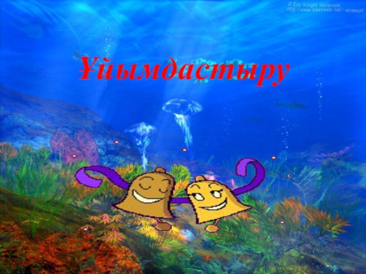 Ұйымдастыру