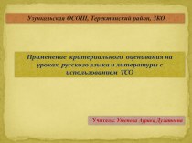 Авторская презентация на тему: Применение критериального оценивания на уроках русского языка и литературы