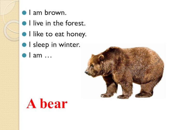 I am brown.I live in the forest.I like to eat honey.I sleep