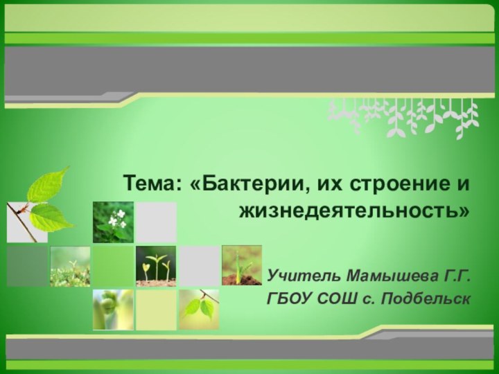 Тема: «Бактерии, их строение и жизнедеятельность» Учитель Мамышева Г.Г.ГБОУ СОШ с. Подбельск