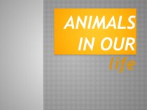 Презентация по английскому языку на тему Животные в нашей жизни (6 класс)