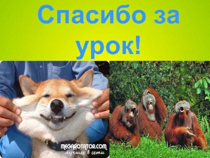 Спасибо за урок!