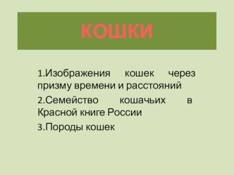 Презентация по ИЗО Такие разные кошки