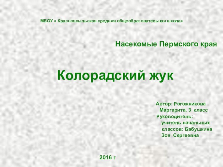 МБОУ « Красноясыльская средняя общеобразовательная школа»Насекомые Пермского краяКолорадский жук