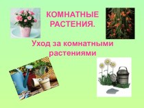 Презентация Уход за комнатными растениями