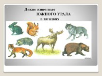 Презентация по ознакомлению с животным миром Уральского края