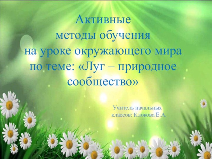 Активные методы обучения на уроке окружающего мира по теме: «Луг – природное