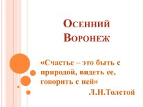 Презентация по коррекционно-развивающему занятию Осенний Воронеж