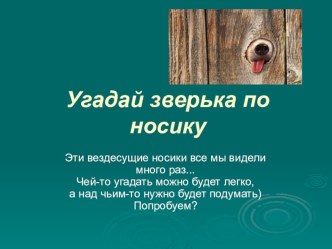 Презентация к классному часу Хочу все знать (Викторина Угадай зверька по носику))