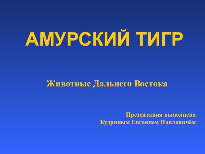 АМУРСКИЙ ТИГРЖивотные Дальнего ВостокаПрезентация выполнена Кудриным Евгением Павловичём