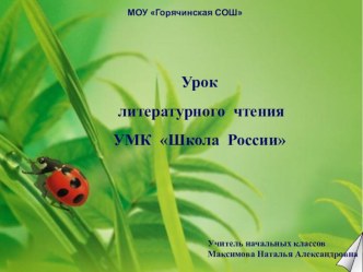 Презентация к уроку литературного чтения Чарушин Страшный рассказ, 2 класс